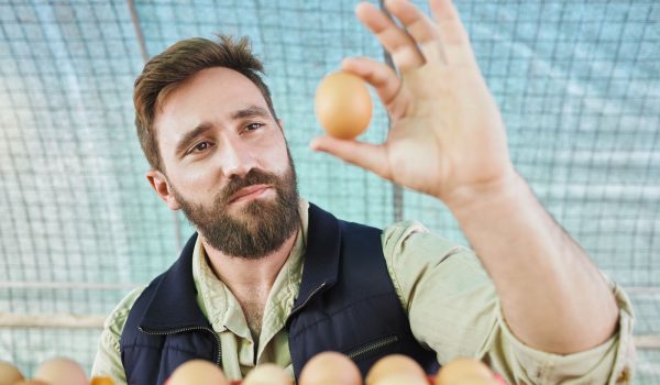 Farm, agriculture and man with egg in hand for inspection, growth production and food industry. Pou.